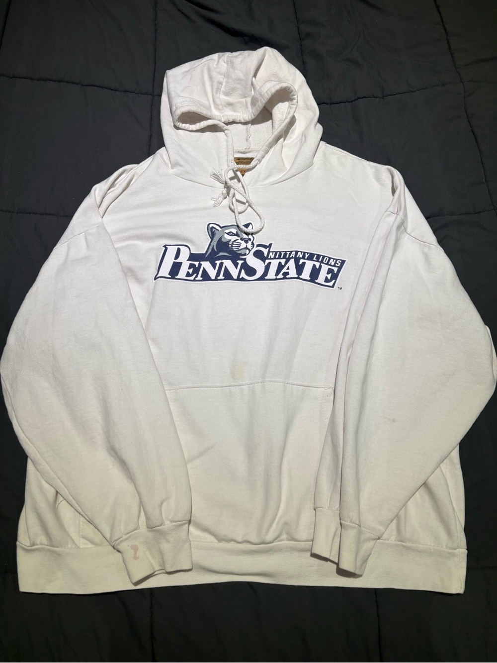 Penn State White Pullover Hoodie with Nittany Lion Logo